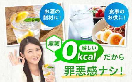 【全3回定期便】強炭酸水 24本[AOEH027]炭酸