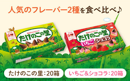 明治 たけのこの里 たけのこの里いちご＆ショコラ 各20箱（計40箱