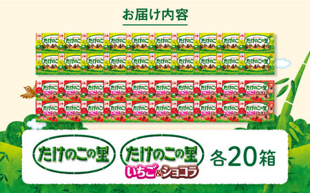 明治 たけのこの里 たけのこの里いちご＆ショコラ 各20箱（計40箱