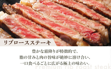 【旨味成分最大4倍】 熟成肉 ギフト 霜降り 黒毛和牛 極上の味わい対決セット[AOAS027]熟成肉