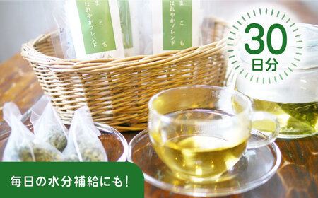 ハーブティー 体をきれいにデトックス！まこも入りハーブティー まこもはれやかブレンド ティーバック ギフト 腸活 大阪府高槻市/NPO法人フェルマータ[AOBA005]