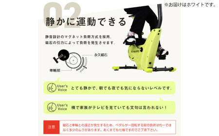 プログラムバイク6216 ホワイト/AFB6216W[AOAB171] エアロバイク