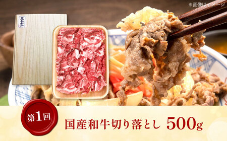 【全3回定期便】ミートモリタ屋 贅沢カレー＆ビーフシチューと和牛のお楽しみ定期便 お肉 肉 切り落とし すき焼き 和牛 牛肉 和牛カレー ビーフシチュー 定期便 食べ比べ 大阪府高槻市/株式会社ミートモリタ屋[AOAI076]