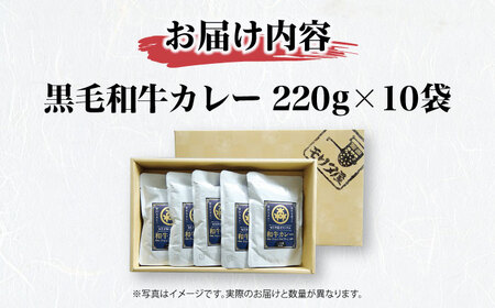 【年内発送】和牛カレー 10袋[AOAI004] カレー
