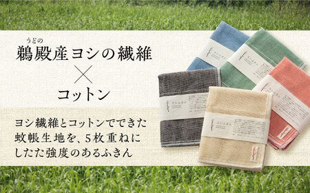 鵜殿ヨシふきん 5枚セット[AOCC001] ふきん