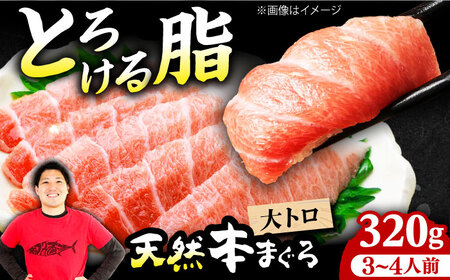 たね熟天然本まぐろ大トロ(320g) [AOCE003] 鮪