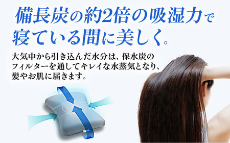 ドクター・スミス 潤肌（ウルハダ）枕２[AOCG004] 枕