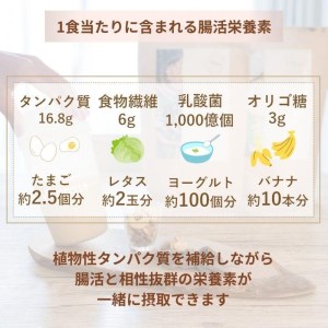 【定期便6ヶ月連続】Vitafast 乳酸菌プロテイン きなこ味 2袋×6ヶ月 計12袋 シェイカー1個付き 大阪府高槻市/株式会社VITASTRATE[AOCH002] プロテイン 運動 ダイエット プロテイン 運動 ダイエット プロテイン 運動 ダイエット プロテイン 運動 ダイエット