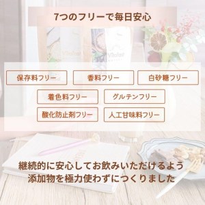 【定期便6ヶ月連続】Vitafast 乳酸菌プロテイン きなこ味 2袋×6ヶ月 計12袋 シェイカー1個付き 大阪府高槻市/株式会社VITASTRATE[AOCH002] プロテイン 運動 ダイエット プロテイン 運動 ダイエット プロテイン 運動 ダイエット プロテイン 運動 ダイエット