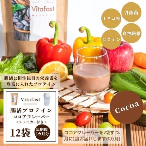 【定期便6ヶ月連続】Vitafast 乳酸菌プロテイン ココア味 2袋×6ヶ月 計12袋 シェイカー1個付き