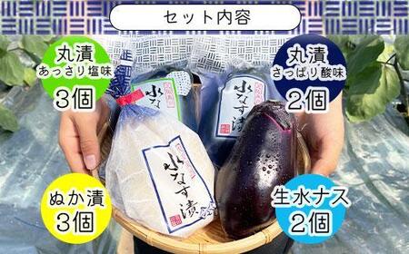 北野農園　泉州水なす４種１０個セット