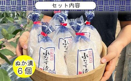 <先行予約>北野農園 泉州水なすぬか漬6個
