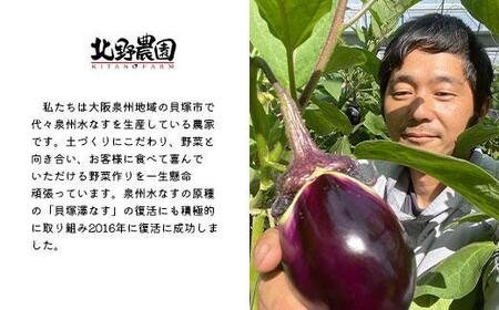 <先行予約>北野農園 泉州水なすぬか漬6個