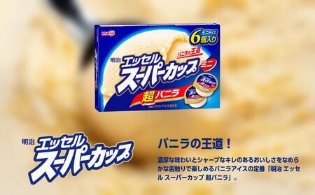 明治 エッセル スーパーカップミニ 超バニラ 80ml × 6個 8箱