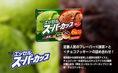 明治 エッセル スーパーカップミニ 抹茶・チョコクッキー 80ml × 2種 × 各3個 8箱
