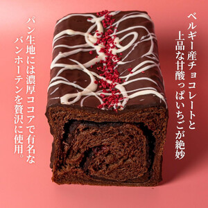 高級食パン プレミアムシリーズ つぶつぶいちご どっぷり贅沢チョコ食パン 2本セット