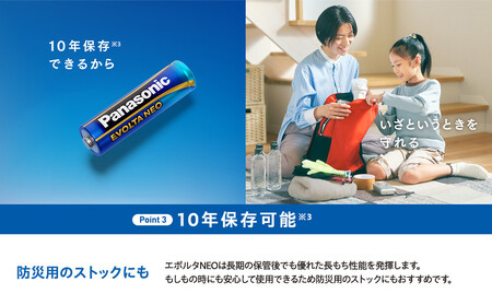 乾電池エボルタNEO 単3形12本パック