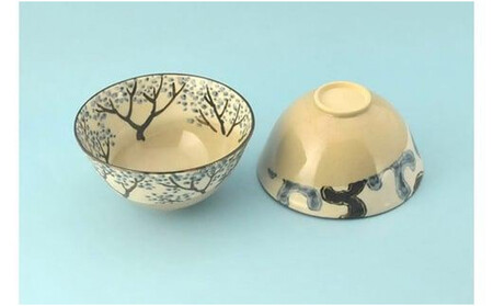 乾山 絵替飯碗 5柄セット【水間焼伏原窯】