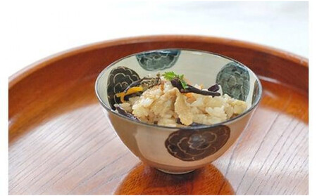 乾山 絵替飯碗 5柄セット【水間焼伏原窯】