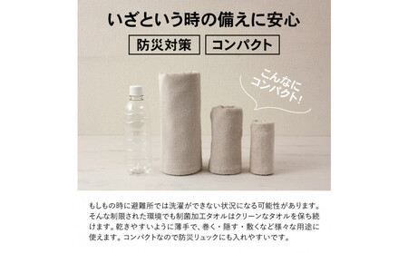 いつでも清潔大判バスタオル［制菌加工］（2枚セット）【2048171】