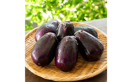 【年中発送】泉州特産　水なす漬け　特選ランク6個入り