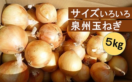 A0006.お手頃サイズ泉州玉ねぎ5kg【限定50ケース】