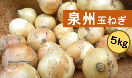A0007.泉州玉葱 約5kg【数量限定】