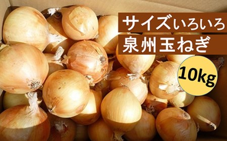B0012.サイズいろいろ泉州玉ねぎ10kg【限定10ケース】