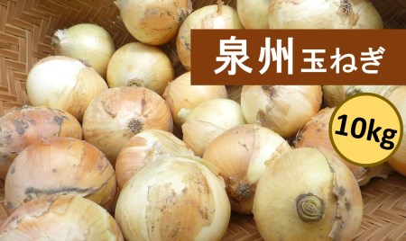 B0013.泉州玉葱 約10kg【数量限定】