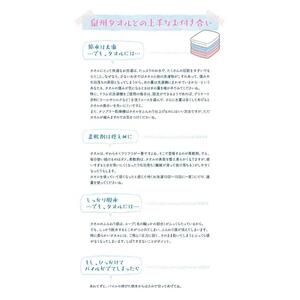 【大阪泉州タオル】ネイチャーカラーバスタオル4枚セット