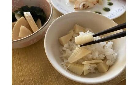 ＜先行予約＞【最高級たけのこ】貝塚木積産　極上逸品朝掘り白子筍 約2kg（竹籠入り）