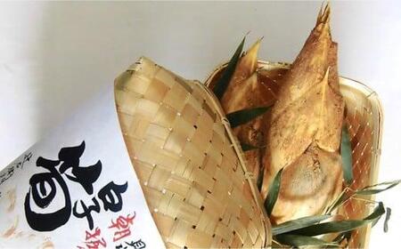 ＜先行予約＞【高級たけのこ】貝塚市木積産　極上朝掘り白子筍 約2kg（竹籠入り）