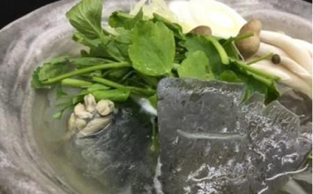 老舗料理屋がお届けする【国産】極上すっぽん鍋 / すっぽん鍋 極上すっぽん鍋 国産すっぽん鍋 貝塚産すっぽん鍋 老舗料理屋のすっぽん鍋