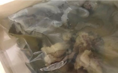 老舗料理屋がお届けする【国産】極上すっぽん鍋 / すっぽん鍋 極上すっぽん鍋 国産すっぽん鍋 貝塚産すっぽん鍋 老舗料理屋のすっぽん鍋