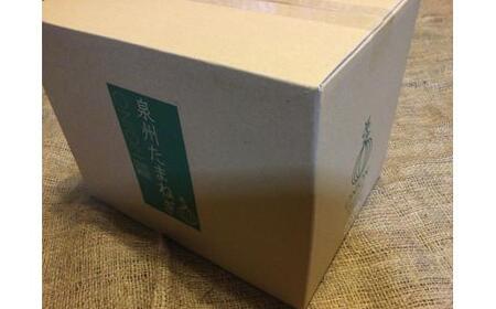 <2026年5月下旬発送>泉州玉ねぎ5kg 保存用ネット付