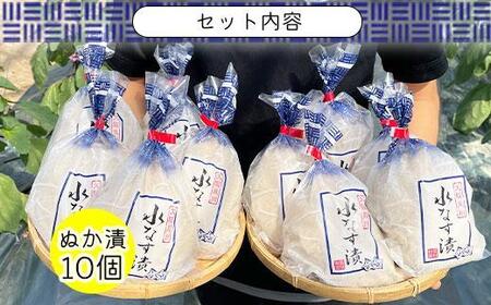 <先行予約>北野農園 泉州水なすぬか漬10個