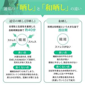 優しい肌触りの 和晒し ダブルガーゼ 抱き枕 ( ミントグリーン )