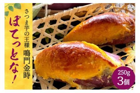 [和菓子屋がスイートポテト焼いちゃいました] ぽてっとな！250g×3個 [御菓子司つくし 大阪府 守口市] [0835]