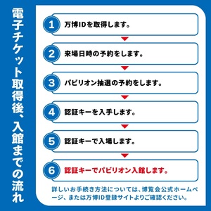 大阪関西万博一日券 大人(満18歳以上の方の入場チケット)会期中いつでも1回入場可能。｜大人一日券 万博 チケット EXPO 2025 [2221]