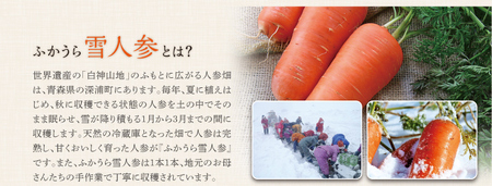 雪にんじんポタージュ 10食セット《青森県 ふかうら雪人参 使用》 [2513]