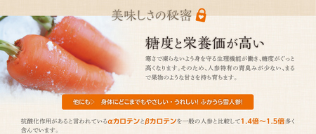 雪にんじんポタージュ 10食セット《青森県 ふかうら雪人参 使用》 [2513]