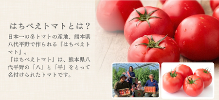 トマトポタージュ 10食セット《熊本県 はちべえトマト 使用》 [2517]