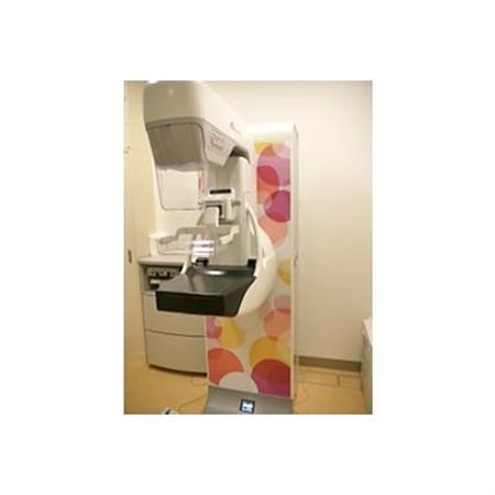市立ひらかた病院　乳がん検診_旅行券・チケット   _【1032628】