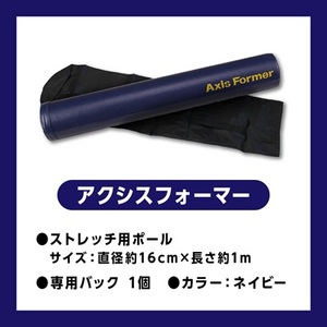 アクシスフォーマー ロングポール (ネイビー)_雑貨・日用品  スポーツ・アウトドア用品 _【1035023】