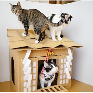 ネコ神社ハウス_ ペット用品  _【1284892】