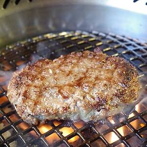 【のし付き】特選和牛〈焼肉薩摩 完熟平野幸一之牛〉ハンバーグ10個_肉 ハンバーグ 牛肉 _【配送不可地域：離島】【1042958】