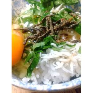 【のし付き】塩昆布(乾燥)いそ松葉 100g×2個 紙袋なし_惣菜・加工品   _【1500111】