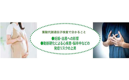 葉酸代謝遺伝子検査キット【1533148】