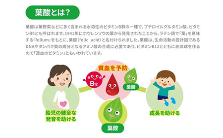 葉酸代謝遺伝子検査キット【1533148】