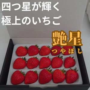 艶星(イチゴ)約350g~約400g「甘味、酸味、風味、旨味」四つ星級に美味!採れたてをお届けします【配送不可地域:離島】【1651679】